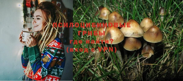 мяу мяу мука Медногорск