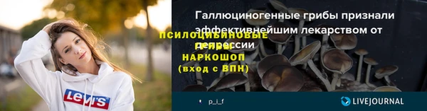 эйфоретик Михайловск