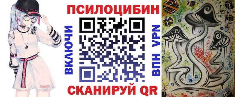 купить наркотик  Ачхой-Мартан  Галлюциногенные грибы Psilocybe 